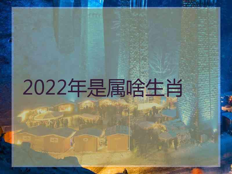 2022年是属啥生肖