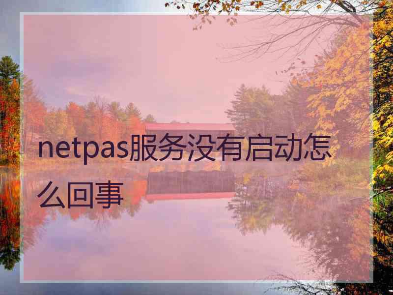 netpas服务没有启动怎么回事