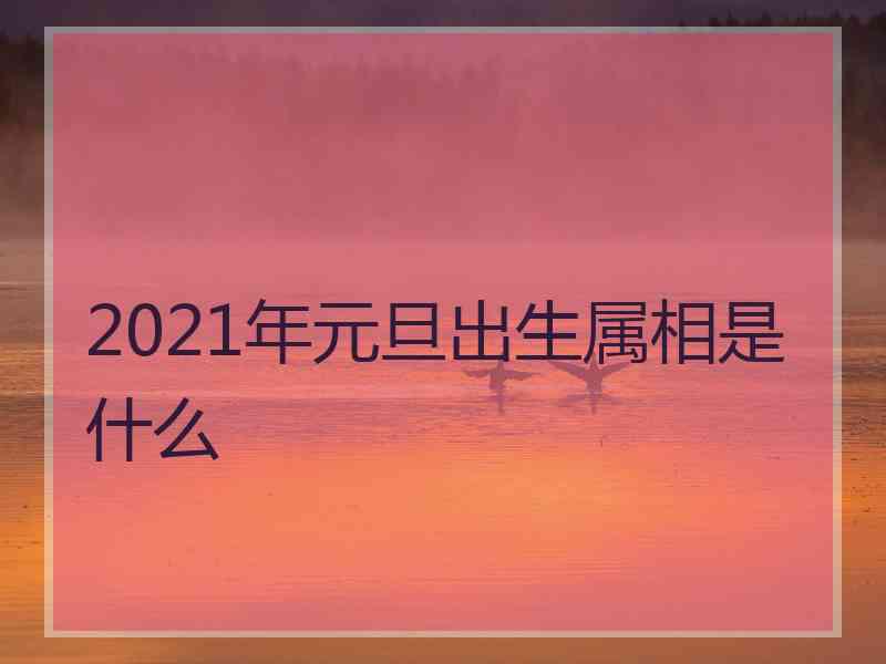 2021年元旦出生属相是什么