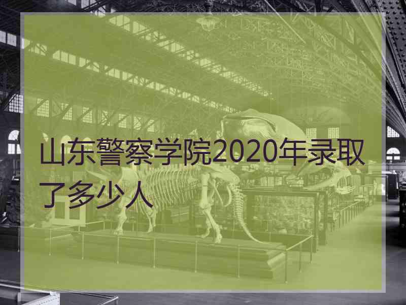 山东警察学院2020年录取了多少人