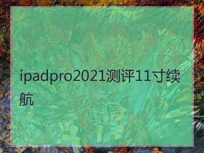 ipadpro2021测评11寸续航