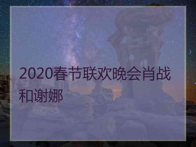 2020春节联欢晚会肖战和谢娜