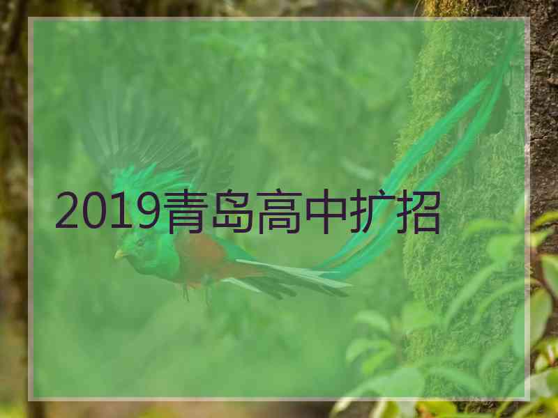 2019青岛高中扩招