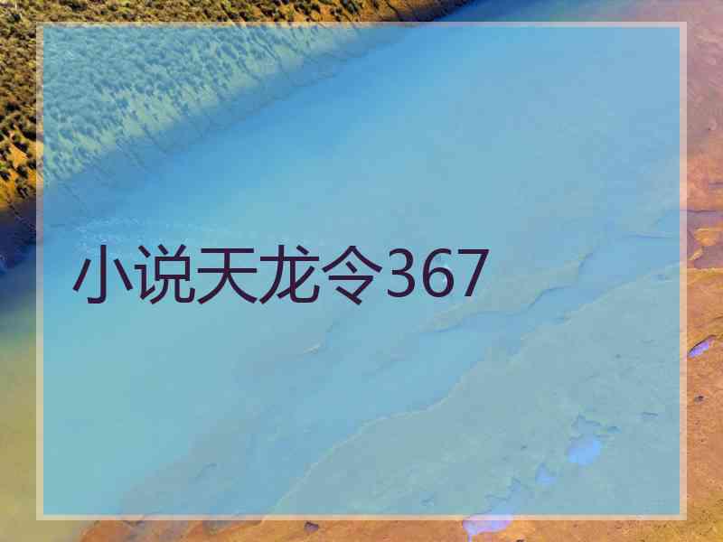 小说天龙令367