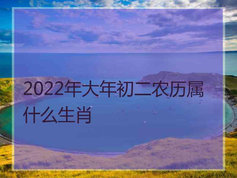 2022年大年初二农历属什么生肖