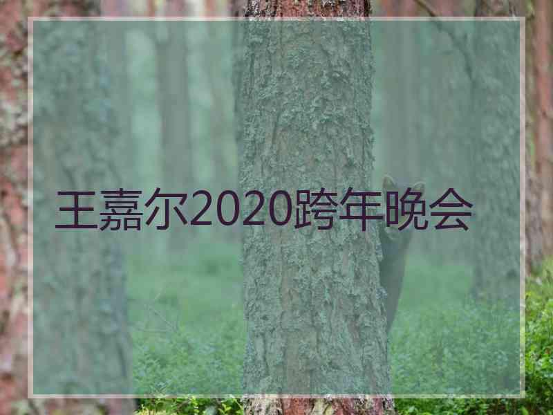 王嘉尔2020跨年晚会