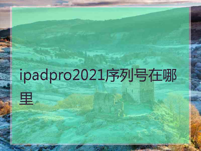 ipadpro2021序列号在哪里