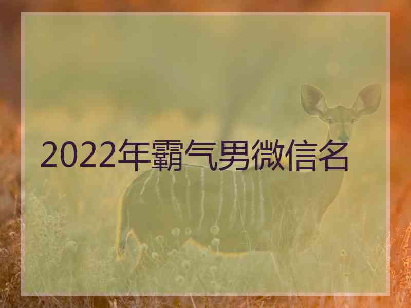 2022年霸气男微信名