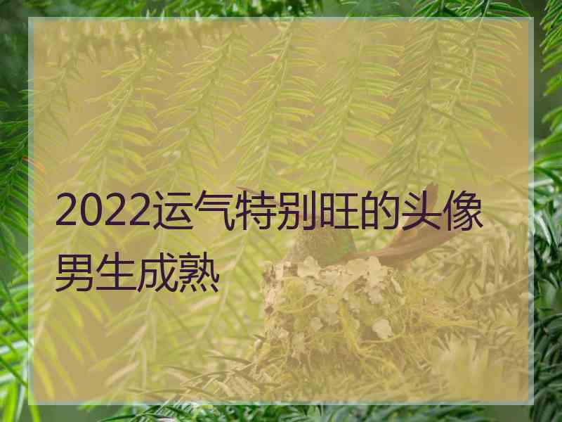 2022运气特别旺的头像男生成熟