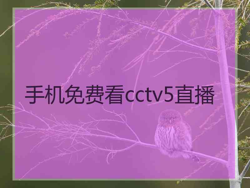 手机免费看cctv5直播