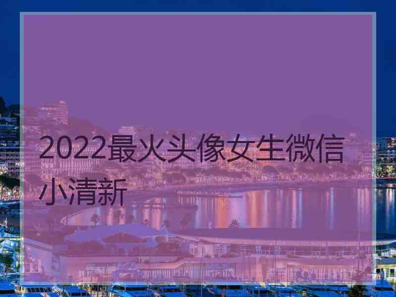 2022最火头像女生微信小清新