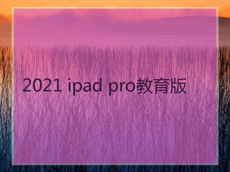 2021 ipad pro教育版