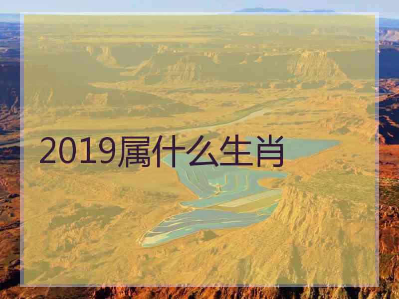 2019属什么生肖