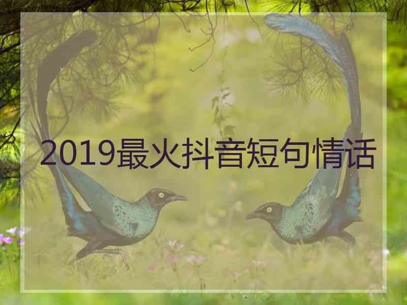 2019最火抖音短句情话