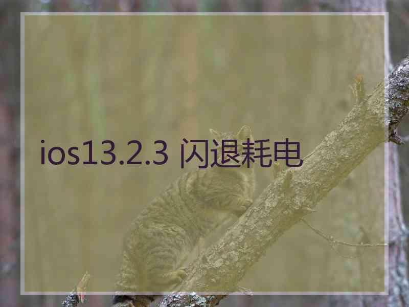 ios13.2.3 闪退耗电