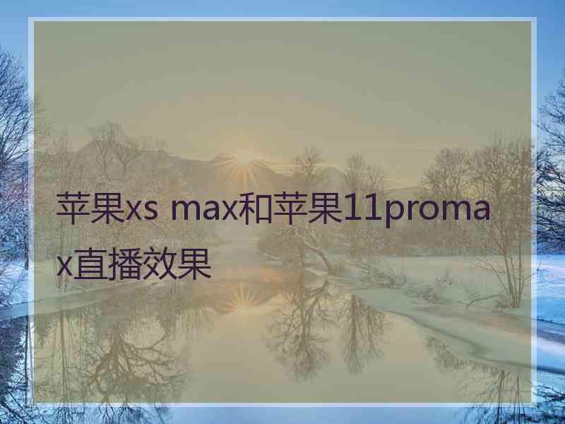 苹果xs max和苹果11promax直播效果