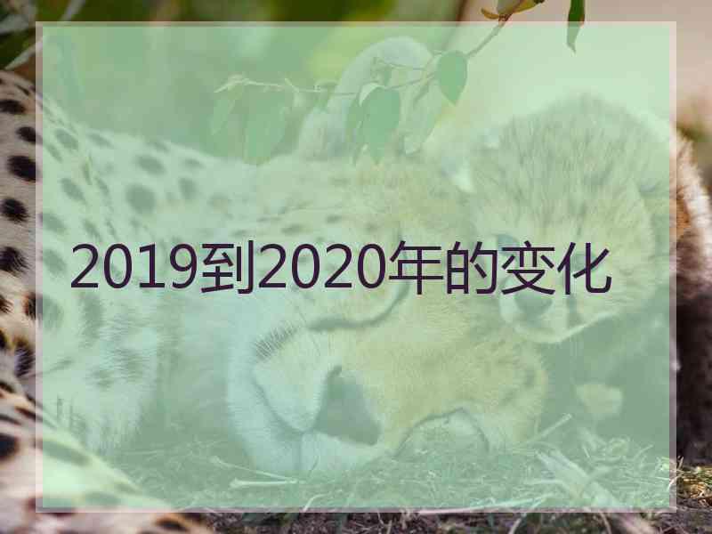 2019到2020年的变化