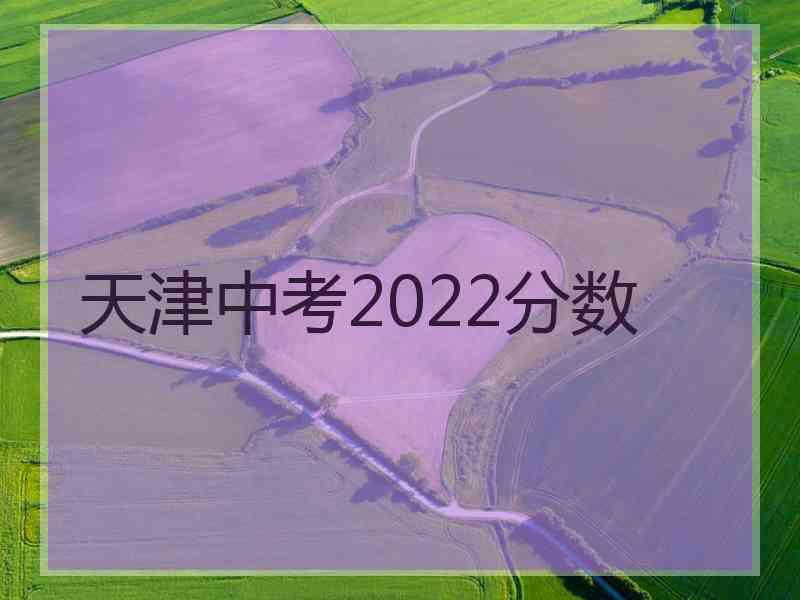 天津中考2022分数