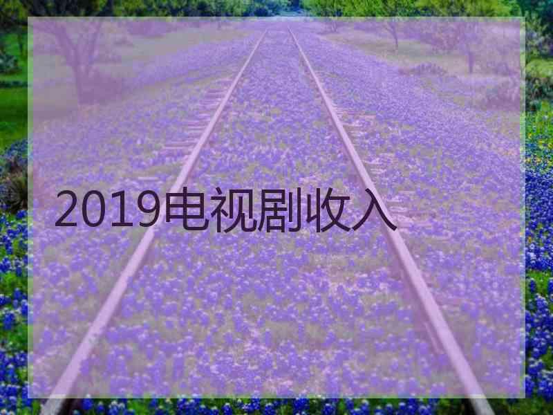 2019电视剧收入