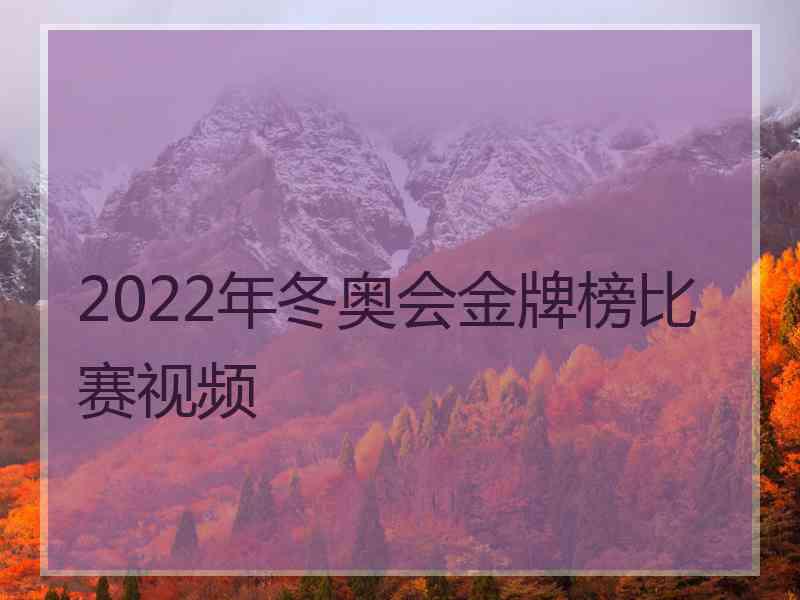 2022年冬奥会金牌榜比赛视频