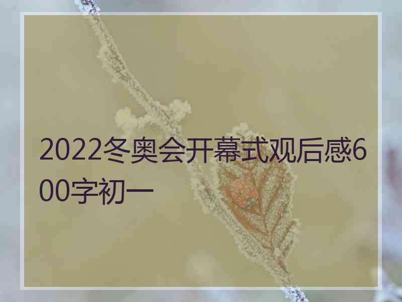 2022冬奥会开幕式观后感600字初一