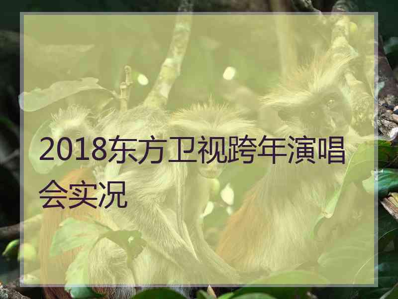 2018东方卫视跨年演唱会实况