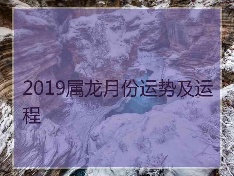 2019属龙月份运势及运程