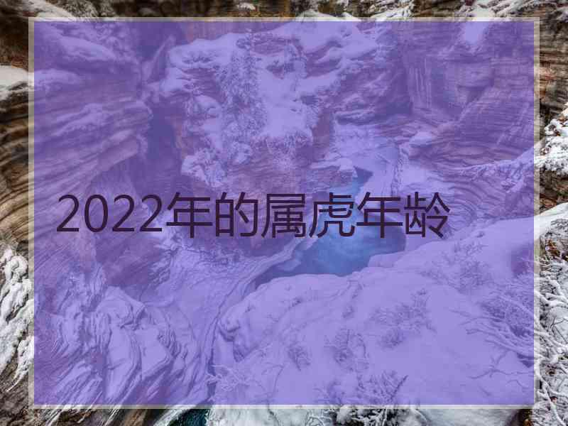 2022年的属虎年龄