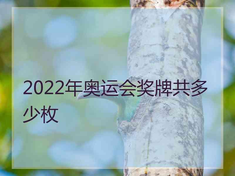 2022年奥运会奖牌共多少枚