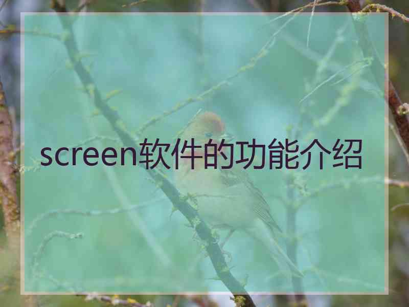 screen软件的功能介绍