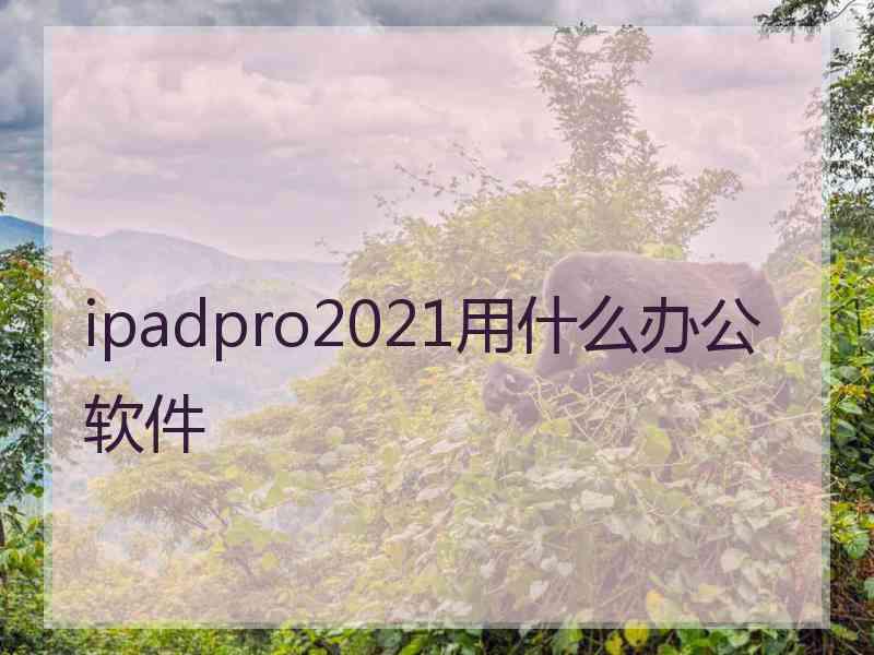 ipadpro2021用什么办公软件