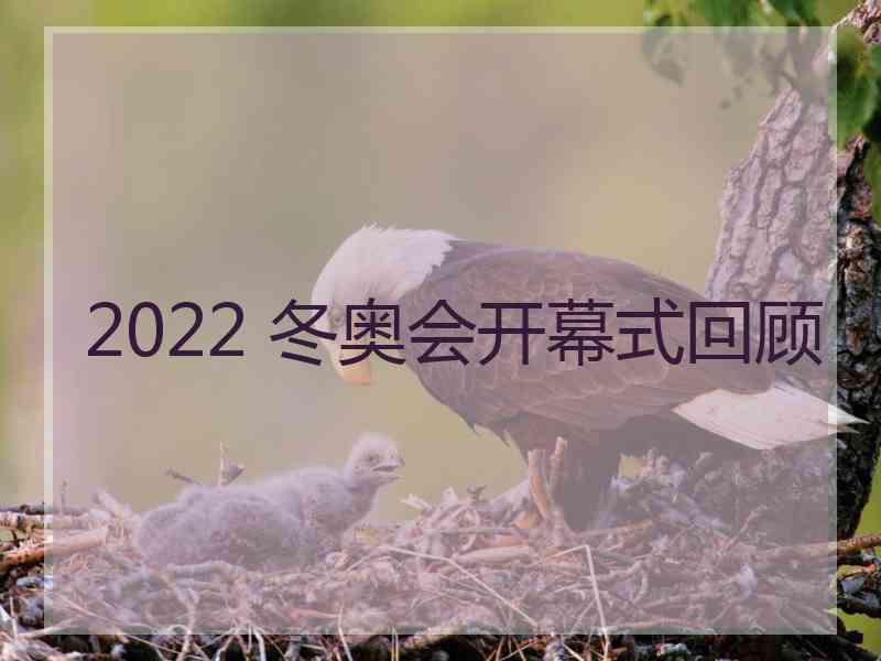 2022 冬奥会开幕式回顾