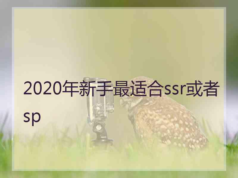 2020年新手最适合ssr或者sp