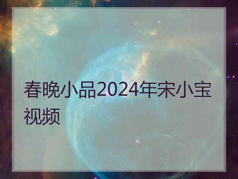 春晚小品2024年宋小宝视频