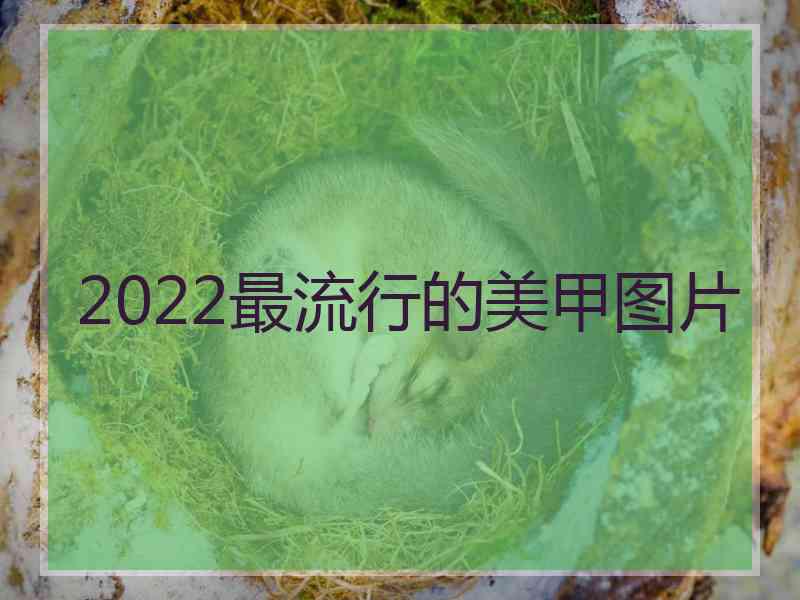 2022最流行的美甲图片