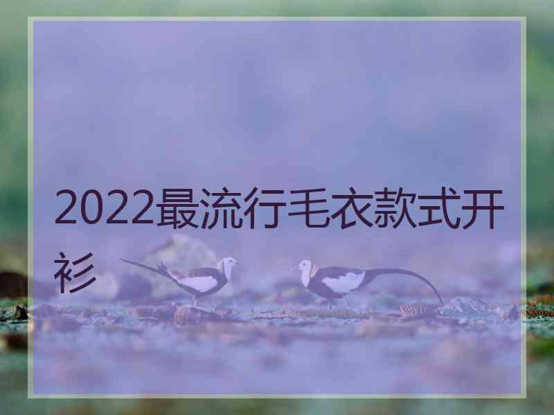 2022最流行毛衣款式开衫