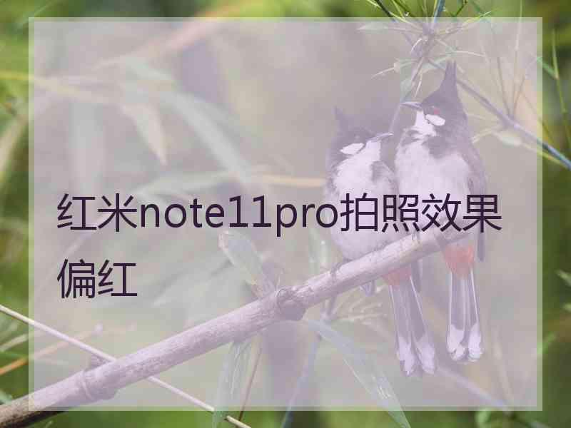 红米note11pro拍照效果偏红