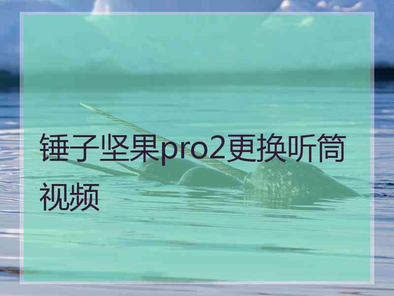 锤子坚果pro2更换听筒视频