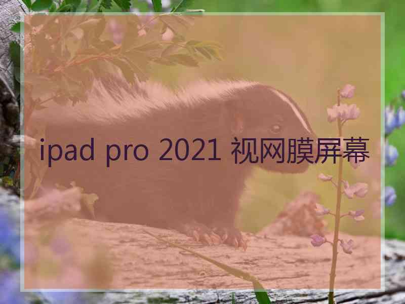 ipad pro 2021 视网膜屏幕