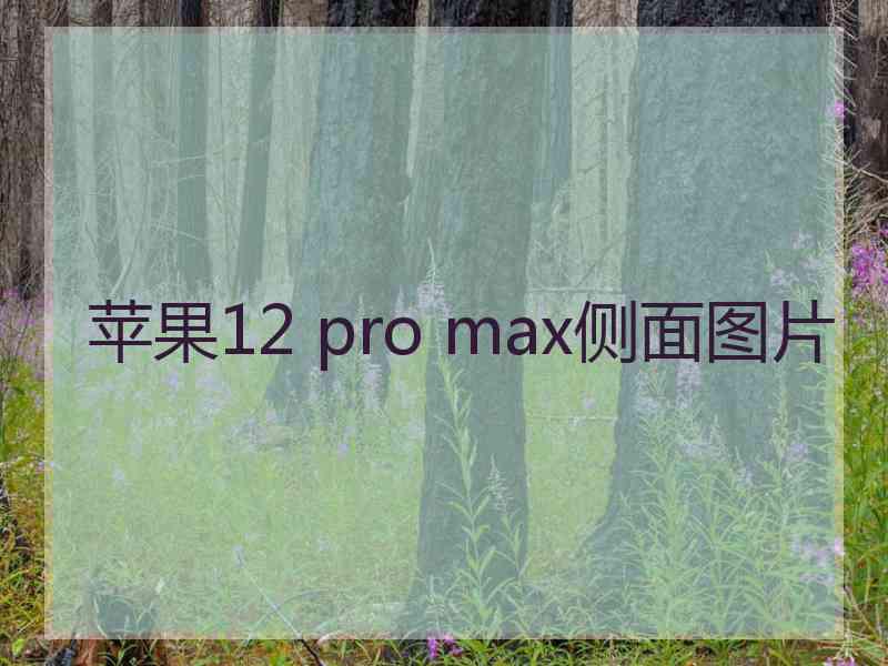 苹果12 pro max侧面图片