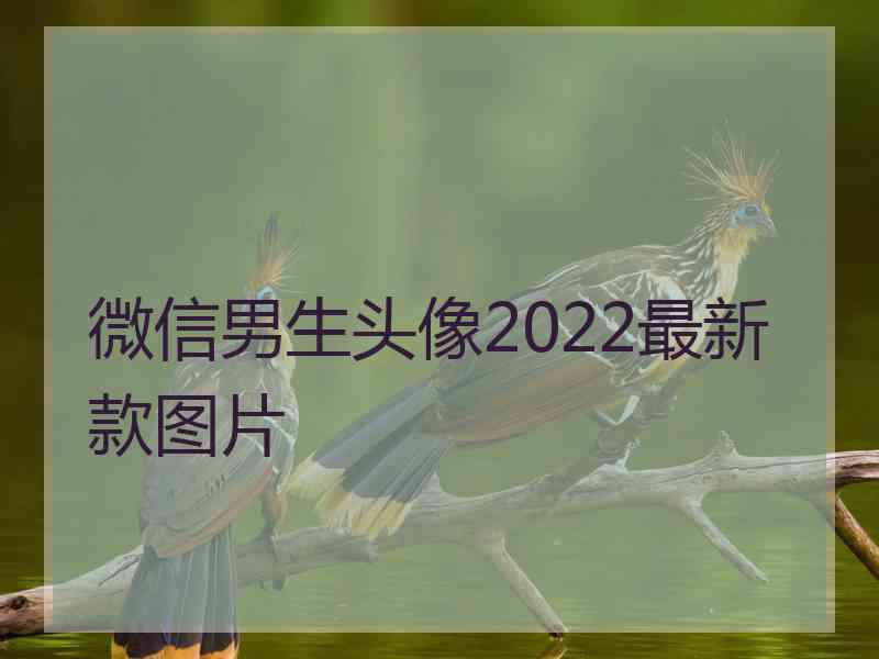 微信男生头像2022最新款图片