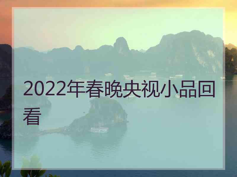 2022年春晚央视小品回看