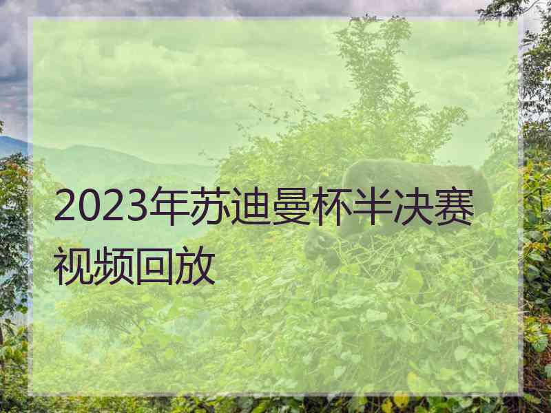 2023年苏迪曼杯半决赛视频回放