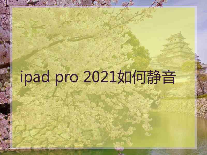 ipad pro 2021如何静音