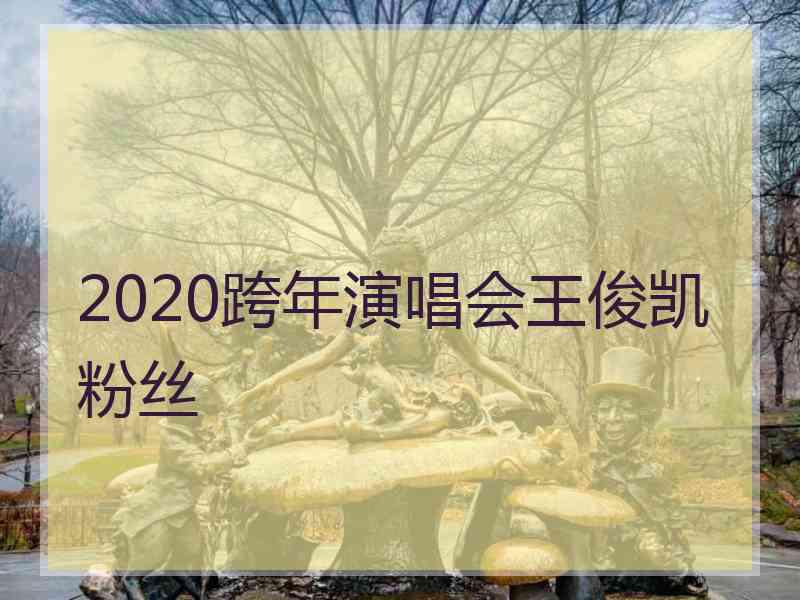 2020跨年演唱会王俊凯粉丝