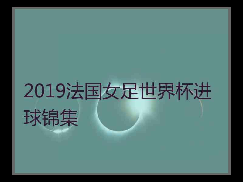 2019法国女足世界杯进球锦集