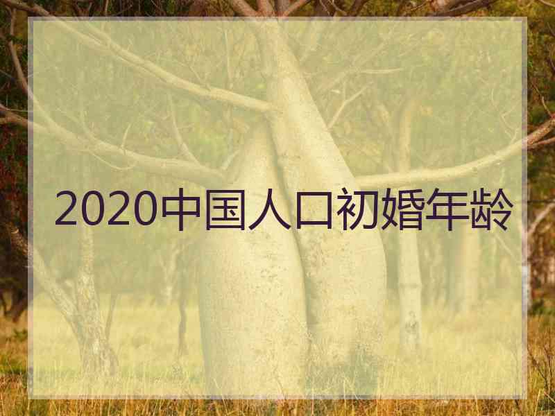 2020中国人口初婚年龄