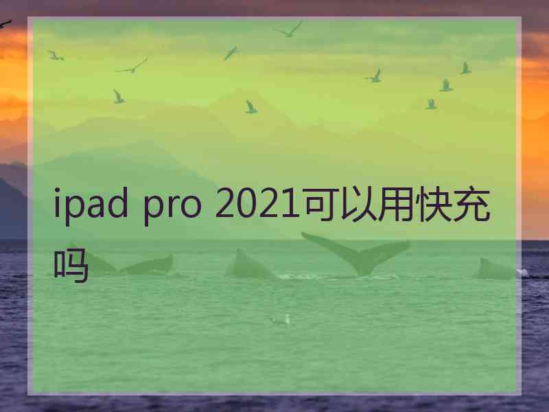 ipad pro 2021可以用快充吗