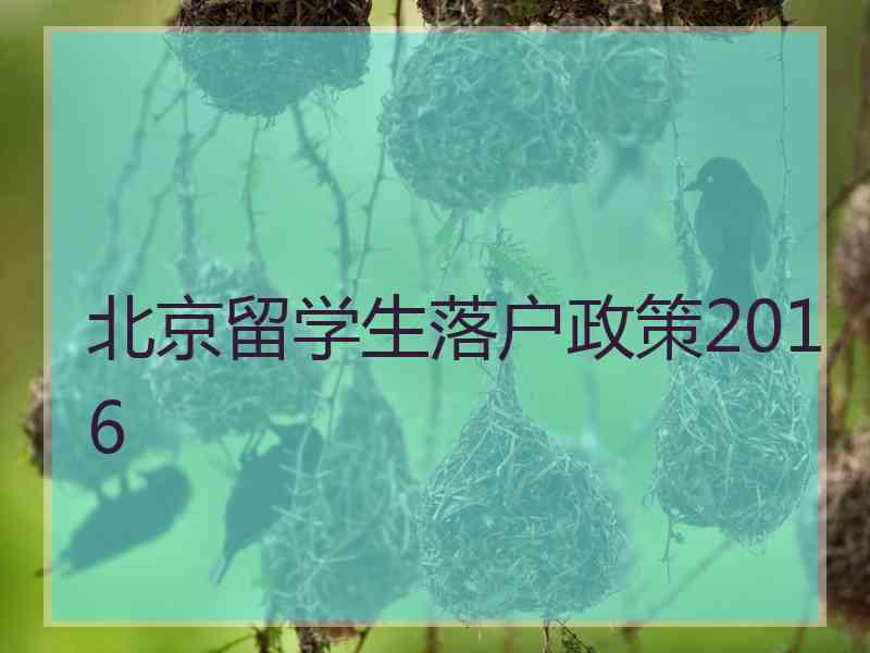 北京留学生落户政策2016