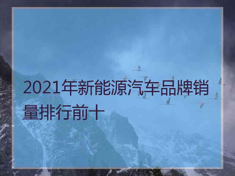 2021年新能源汽车品牌销量排行前十